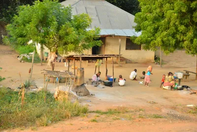 DSC_4296 (Large).JPG